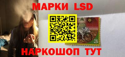 соль ск Новодвинск