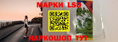 a pvp Новозыбков