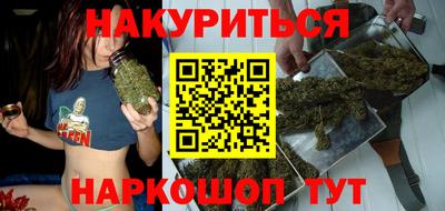a pvp Новозыбков