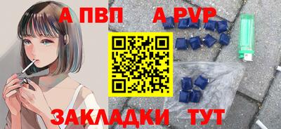 a pvp Новозыбков