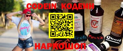 a pvp Новозыбков