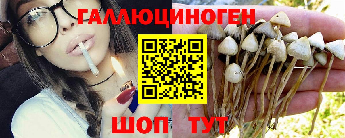 магазин продажи   Вход с VPN  Вышний Волочёк  Галлюциногенные грибы MAGIC MUSHROOMS 
