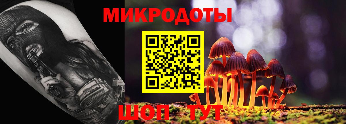 Псилоцибиновые грибы прущие грибы Вышний Волочёк